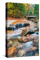 Autumn Stream, White Mountain, New Hampshire-Vincent James-Stretched Canvas