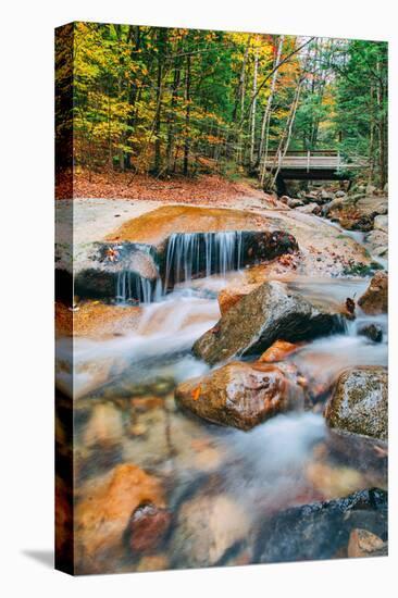 Autumn Stream, White Mountain, New Hampshire-Vincent James-Stretched Canvas