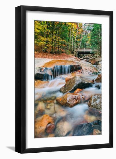 Autumn Stream, White Mountain, New Hampshire-Vincent James-Framed Photographic Print