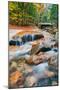 Autumn Stream, White Mountain, New Hampshire-Vincent James-Mounted Photographic Print