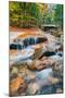 Autumn Stream, White Mountain, New Hampshire-Vincent James-Mounted Photographic Print