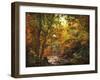 Autumn Stream-Jessica Jenney-Framed Giclee Print