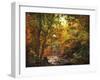 Autumn Stream-Jessica Jenney-Framed Giclee Print