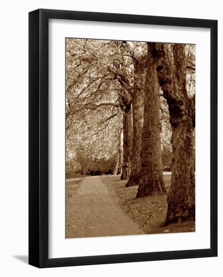 Autumn Stroll I-Boyce Watt-Framed Art Print