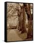 Autumn Stroll I-Boyce Watt-Framed Stretched Canvas