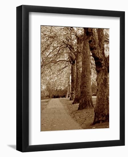 Autumn Stroll I-Boyce Watt-Framed Art Print