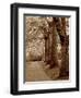Autumn Stroll I-Boyce Watt-Framed Art Print
