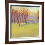 Autumn Stroll-David Skinner-Framed Giclee Print