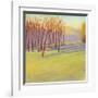 Autumn Stroll-David Skinner-Framed Giclee Print