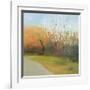 Autumn Stroll-David Skinner-Framed Giclee Print