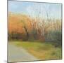Autumn Stroll-David Skinner-Mounted Giclee Print