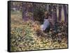 Autumn Sunlight-Robinson Theodore-Framed Stretched Canvas