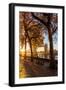 Autumn sunrise in grounds of the Tower of London, with Tower Bridge, London-Ed Hasler-Framed Photographic Print