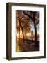 Autumn sunrise in grounds of the Tower of London, with Tower Bridge, London-Ed Hasler-Framed Photographic Print