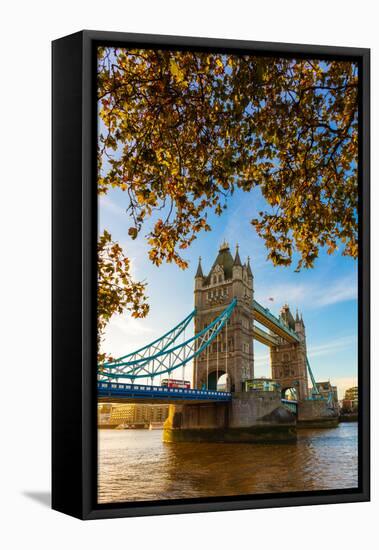 Autumn sunrise in grounds of the Tower of London, with Tower Bridge, London-Ed Hasler-Framed Stretched Canvas