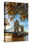 Autumn sunrise in grounds of the Tower of London, with Tower Bridge, London-Ed Hasler-Stretched Canvas