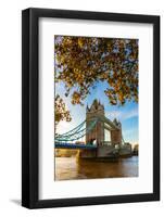 Autumn sunrise in grounds of the Tower of London, with Tower Bridge, London-Ed Hasler-Framed Photographic Print