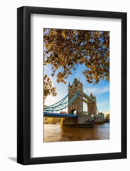 Autumn sunrise in grounds of the Tower of London, with Tower Bridge, London-Ed Hasler-Framed Photographic Print