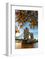 Autumn sunrise in grounds of the Tower of London, with Tower Bridge, London-Ed Hasler-Framed Photographic Print