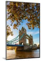 Autumn sunrise in grounds of the Tower of London, with Tower Bridge, London-Ed Hasler-Mounted Photographic Print
