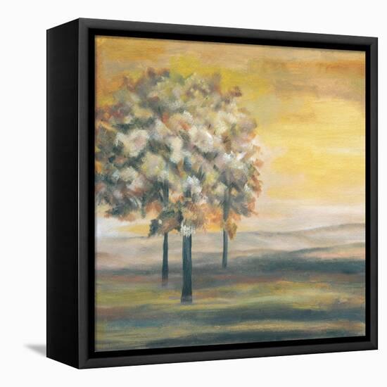 Autumn Sunset I-Margaret Ferry-Framed Stretched Canvas