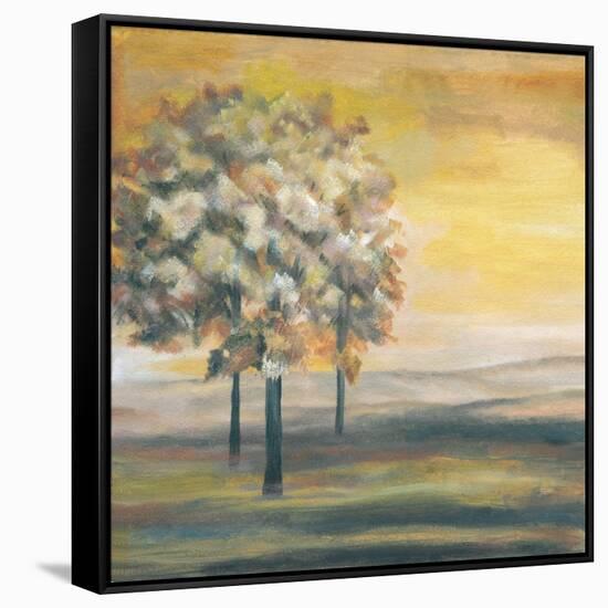 Autumn Sunset I-Margaret Ferry-Framed Stretched Canvas