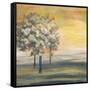 Autumn Sunset I-Margaret Ferry-Framed Stretched Canvas