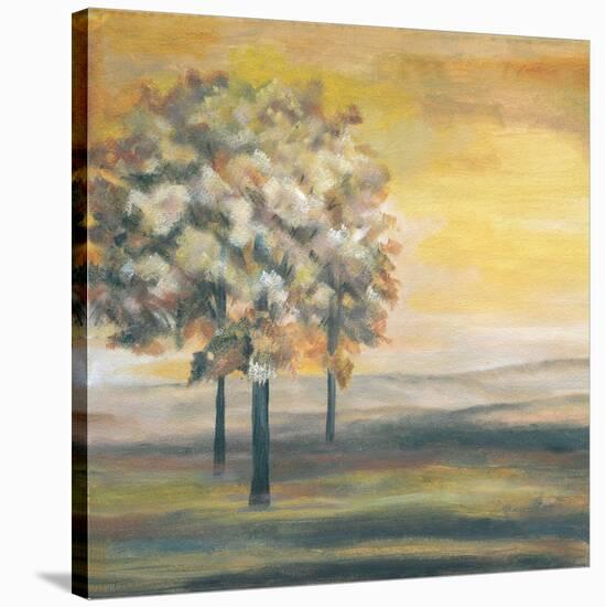 Autumn Sunset I-Margaret Ferry-Stretched Canvas