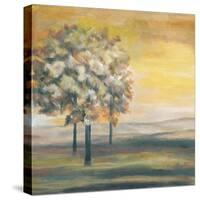 Autumn Sunset I-Margaret Ferry-Stretched Canvas