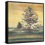 Autumn Sunset II-Margaret Ferry-Framed Stretched Canvas