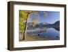 Autumn sunshine over Brandlehow, Borrowdale, The Lake District National Park, Cumbria, England, Uni-John Potter-Framed Photographic Print