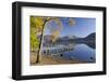 Autumn sunshine over Brandlehow, Borrowdale, The Lake District National Park, Cumbria, England, Uni-John Potter-Framed Photographic Print