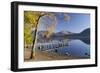 Autumn sunshine over Brandlehow, Borrowdale, The Lake District National Park, Cumbria, England, Uni-John Potter-Framed Photographic Print