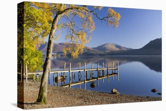 Autumn sunshine over Brandlehow, Borrowdale, The Lake District National Park, Cumbria, England, Uni-John Potter-Stretched Canvas