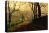 Autumn Sunshine, Stapleton Park Near Pontefract-John Atkinson Grimshaw-Stretched Canvas