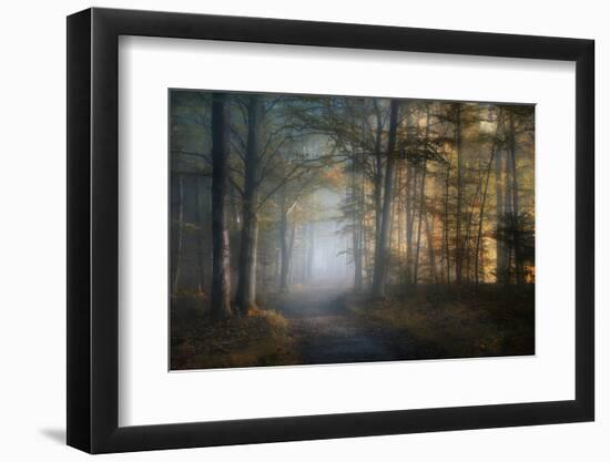 autumn symphony-Norbert Maier-Framed Premium Photographic Print