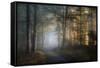 autumn symphony-Norbert Maier-Framed Stretched Canvas