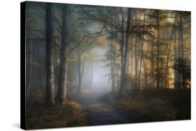 autumn symphony-Norbert Maier-Stretched Canvas