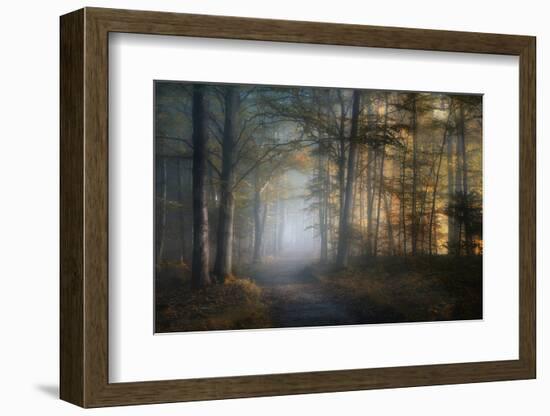 autumn symphony-Norbert Maier-Framed Photographic Print