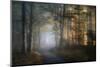 autumn symphony-Norbert Maier-Mounted Photographic Print