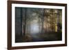 autumn symphony-Norbert Maier-Framed Photographic Print