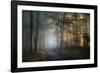 autumn symphony-Norbert Maier-Framed Photographic Print