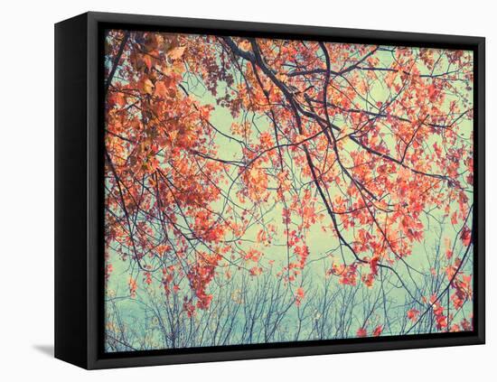 Autumn Tapestry II-Judy Stalus-Framed Stretched Canvas