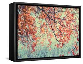 Autumn Tapestry II-Judy Stalus-Framed Stretched Canvas