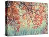 Autumn Tapestry II-Judy Stalus-Stretched Canvas