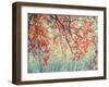 Autumn Tapestry II-Judy Stalus-Framed Photographic Print