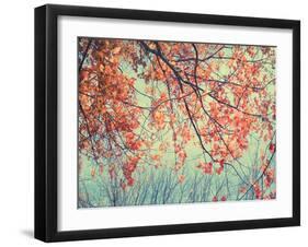 Autumn Tapestry II-Judy Stalus-Framed Photographic Print