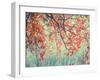 Autumn Tapestry II-Judy Stalus-Framed Photographic Print