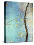 Autumn Tapestry III-Judy Stalus-Stretched Canvas