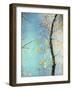 Autumn Tapestry III-Judy Stalus-Framed Photographic Print